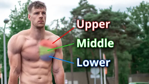 Intermediate Calisthenics Chest Workout for Building Muscle Mass